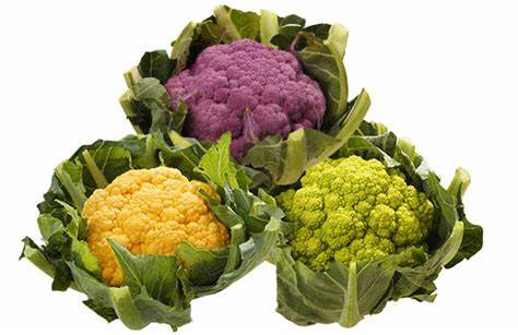 Choux fleur couleur