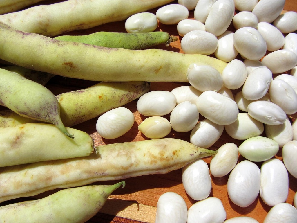 Haricots Coco plats