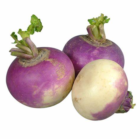 Navets violets