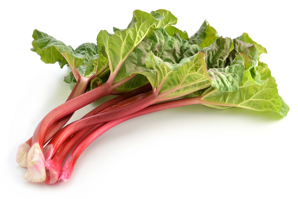 Rhubarbe
