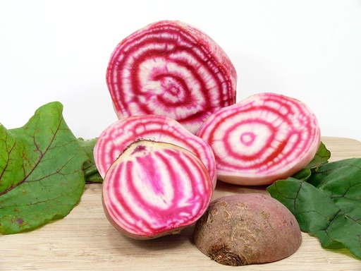 [LEG - 038] Betteraves Chioggia