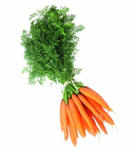 [LEG - 046] Carottes fane botte