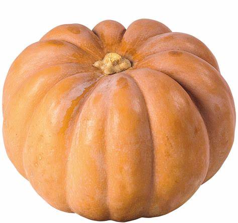 [LEG-031] Courge