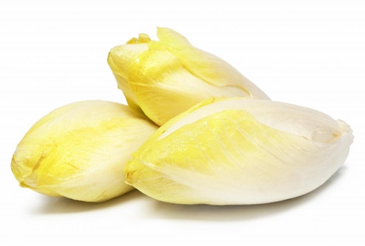 [LEG-013] Endives