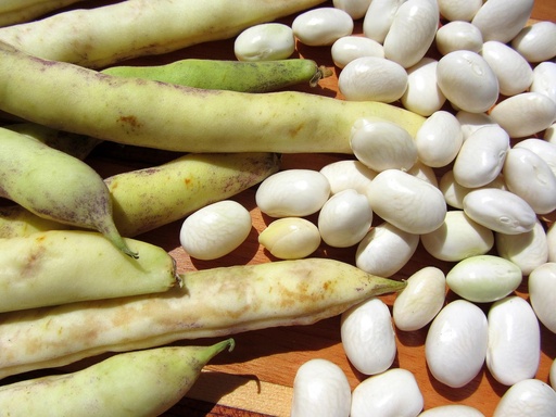 [LEG-027] Haricots Coco plats