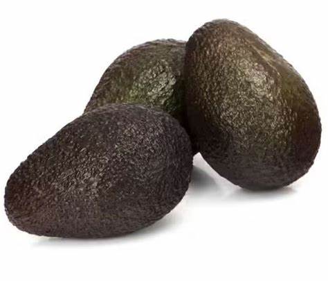 [FRT-006] Avocat petit calibre