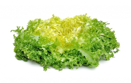 [SLD-007] Salade Frisée