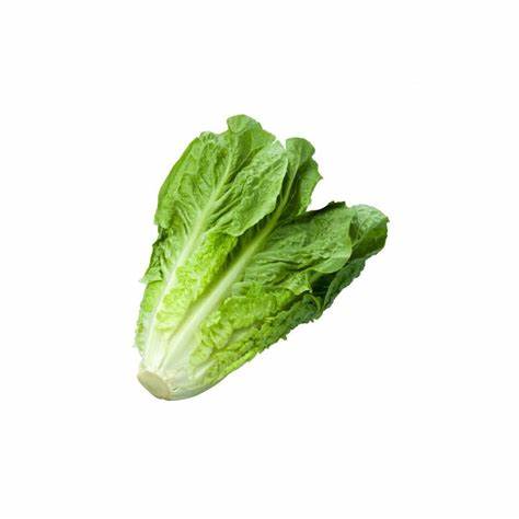 [SLD-006] Salade Romaine x 2