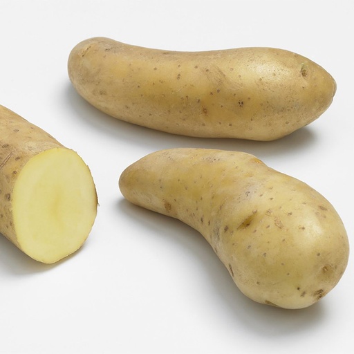 [PMT-004] Pomme de terre Ratte